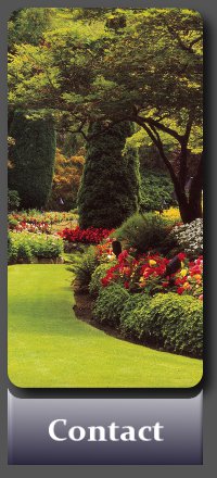 Dublin Gardens - Garden Maintenance and Landscape Gardening by an experienced gardener